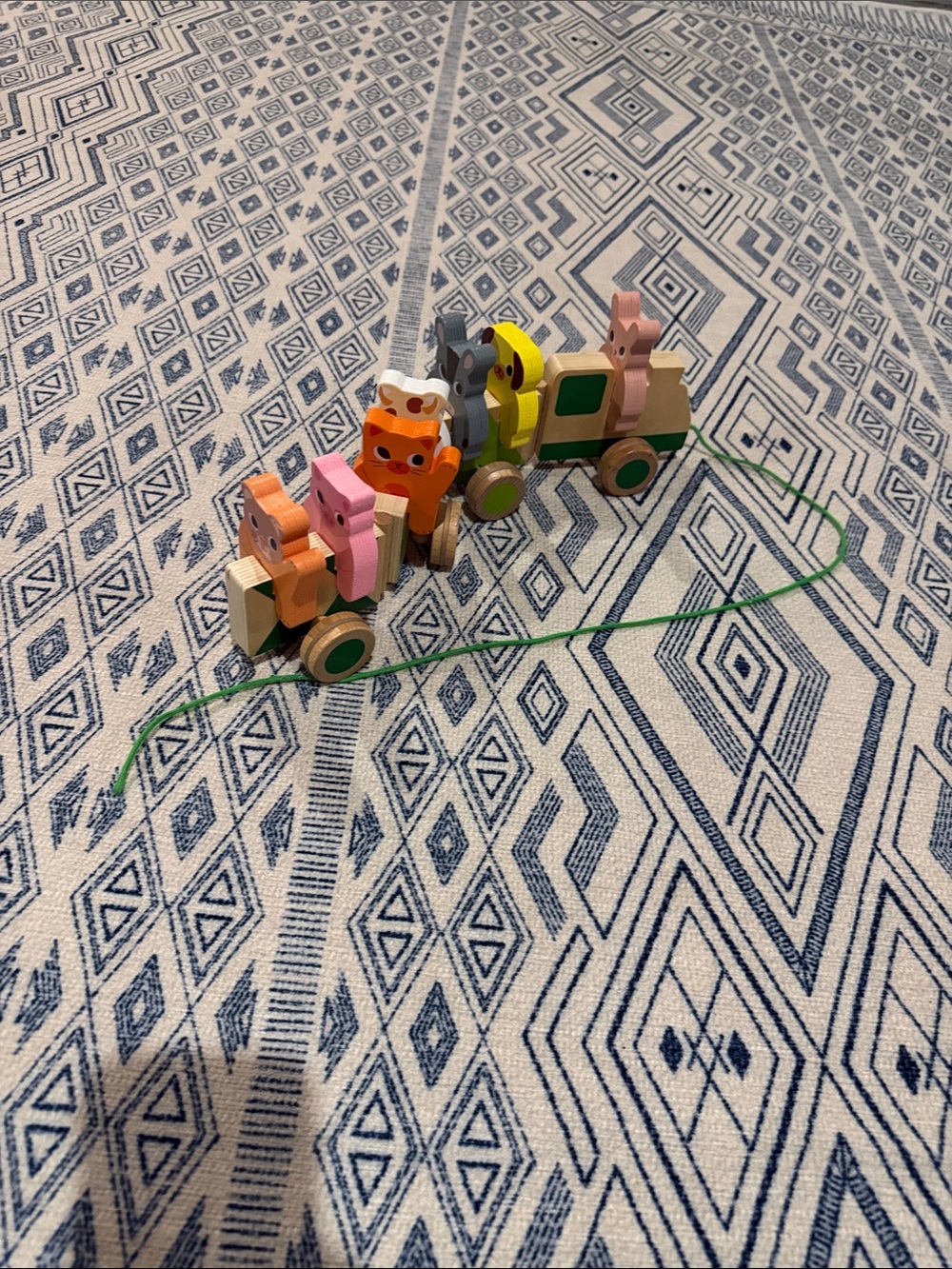Wooden Pastel Animal Pull-Along Train Toy - Multicolor